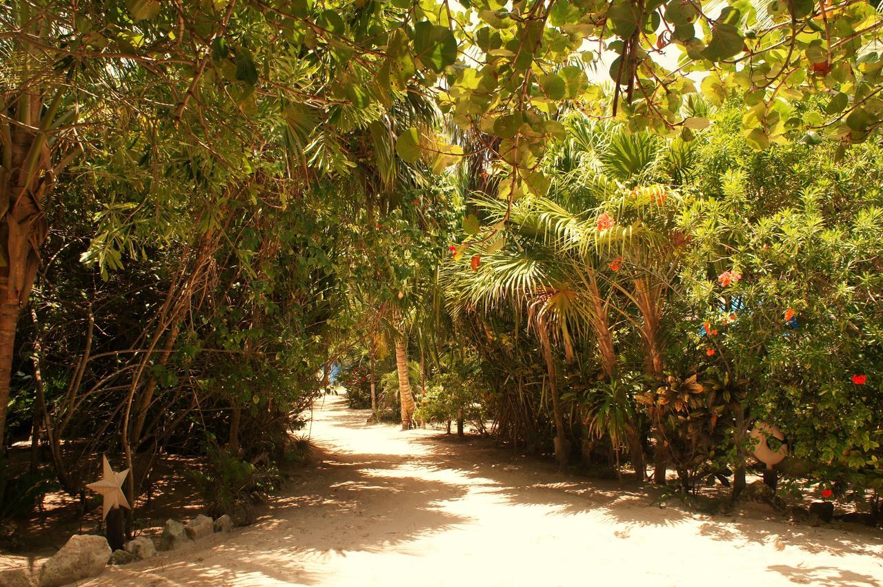 Cabanas La Luna Hotel Tulum Pueblo Buitenkant foto