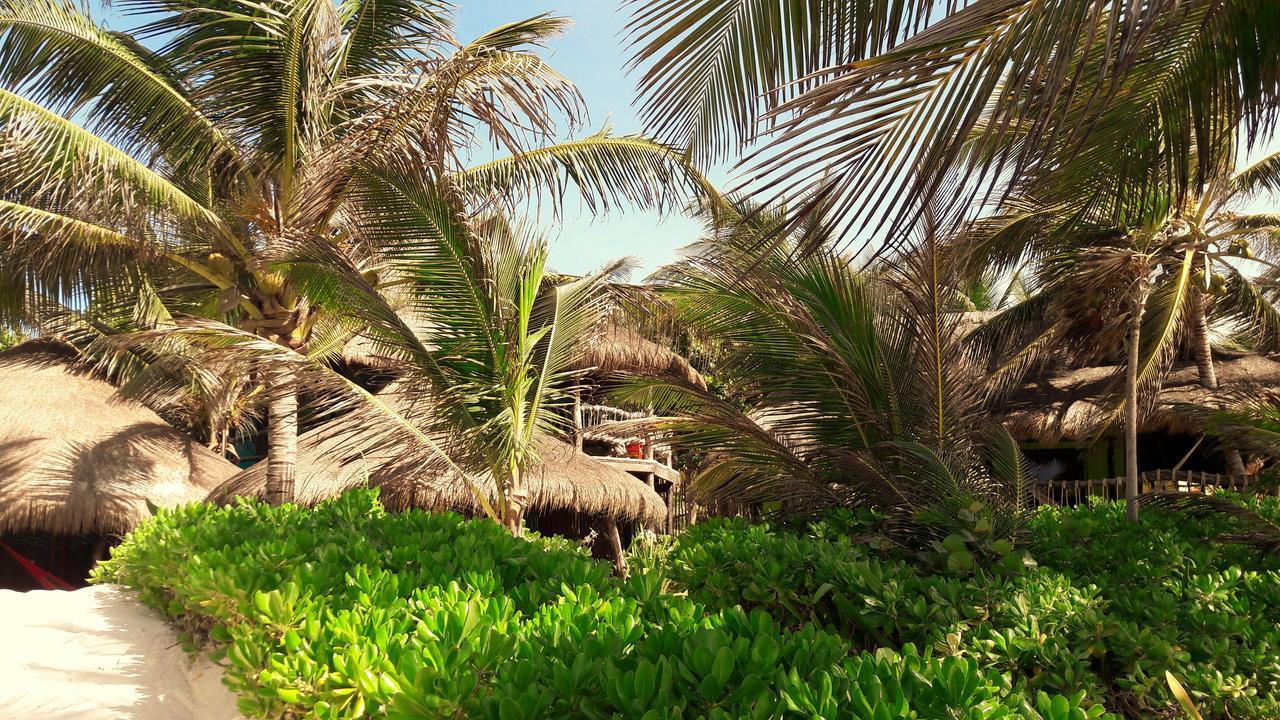 Cabanas La Luna Hotel Tulum Pueblo Buitenkant foto
